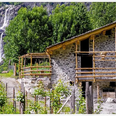 Fienile Nel Vigneto Bio *